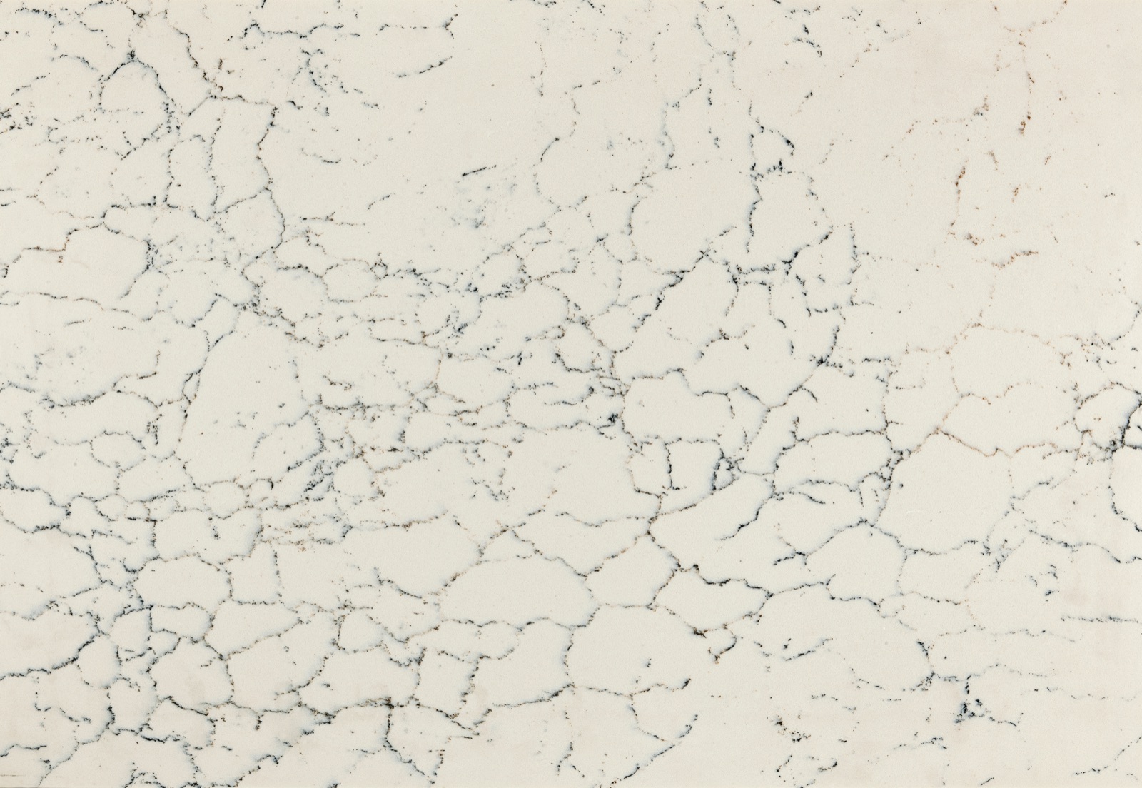 Cambria Falconwood Quartz slab