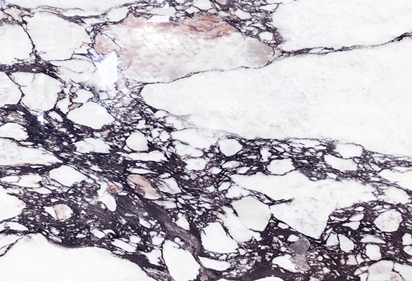 Metamarble Calacatta Viola Porcelain slab