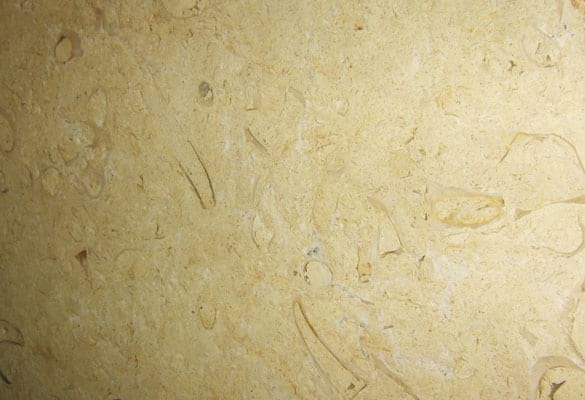 Metamarble Khatmeya Brushed Limestone slab