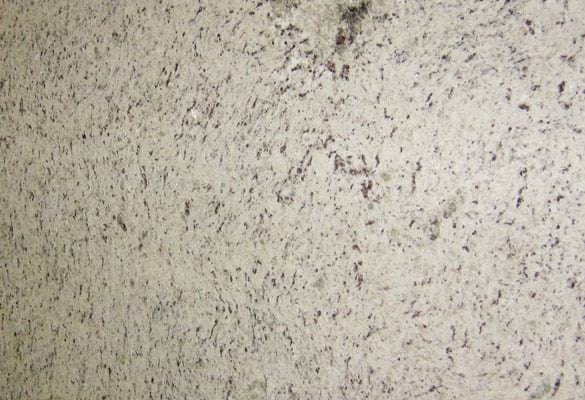 Metamarble Moon Light Granite slab