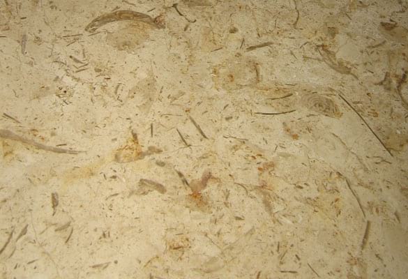 Metamarble Santa Katrina Limestone slab