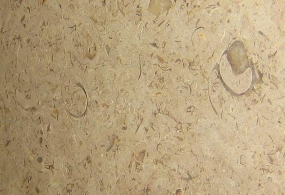 Metamarble Teriesta Honed Limestone slab
