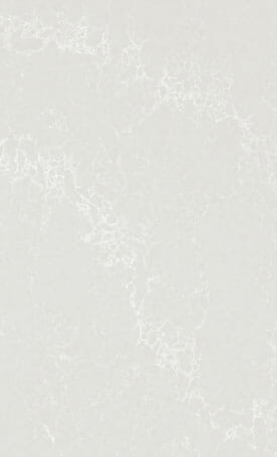 Caesarstone Alpine Mist Quartz slab